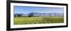 Picturesque Vineyard, Blenheim, Marlborough, South Island, New Zealand-Doug Pearson-Framed Photographic Print