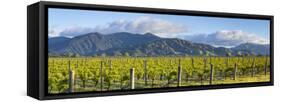 Picturesque Vineyard, Blenheim, Marlborough, South Island, New Zealand-Doug Pearson-Framed Stretched Canvas