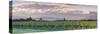 Picturesque Vineyard Illuminated at Sunset, Blenheim, Marlborough, South Island, New Zealand-Doug Pearson-Stretched Canvas