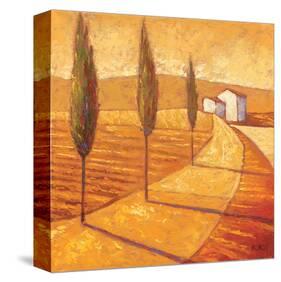 Picturesque-Karsten Kirchner-Stretched Canvas