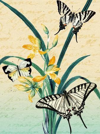 Butterfly Botanical Yellow Flowers Collage