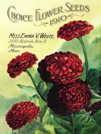 Choice Flower Seeds" 1910 Vintage Seed Catalog Prints - piddix |  AllPosters.com