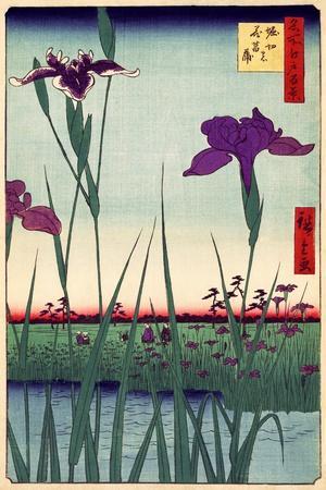 Japanese Art Posters - Framed Prints & Wall Art - Buy Online