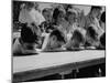 Pie Eating Contest During Church Social-Al Fenn-Mounted Photographic Print