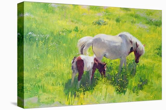 Piebald horse and foal-William Ireland-Stretched Canvas
