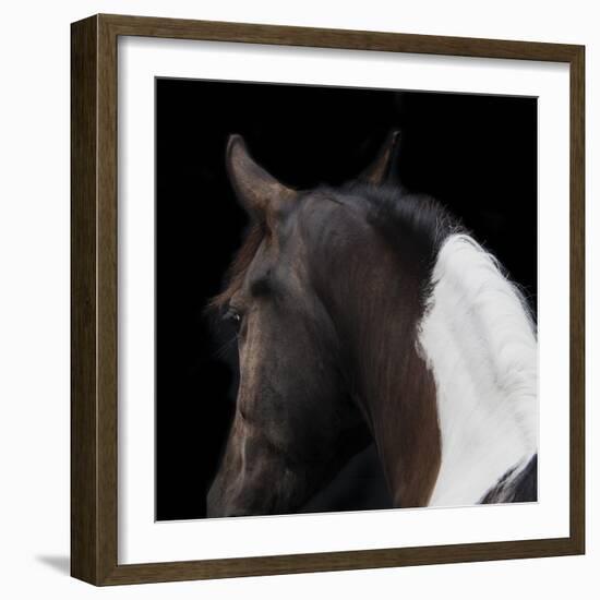 Piebald-Ray Hartl-Framed Giclee Print