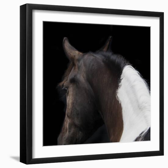 Piebald-Ray Hartl-Framed Giclee Print