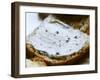 Piece of Bread with Truffles Butter, Truffiere De La Bergerie (Truffiere) Truffles Farm-Per Karlsson-Framed Photographic Print