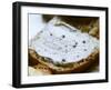 Piece of Bread with Truffles Butter, Truffiere De La Bergerie (Truffiere) Truffles Farm-Per Karlsson-Framed Photographic Print