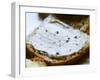 Piece of Bread with Truffles Butter, Truffiere De La Bergerie (Truffiere) Truffles Farm-Per Karlsson-Framed Photographic Print