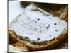 Piece of Bread with Truffles Butter, Truffiere De La Bergerie (Truffiere) Truffles Farm-Per Karlsson-Mounted Photographic Print