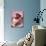 Piece of Cheesecake with Raspberries and Cream-null-Photographic Print displayed on a wall