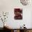 Piece of Chocolate Cake with Chocolate Curls, Red Roses-null-Photographic Print displayed on a wall