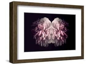 Piece of Happiness-Philippe Sainte-Laudy-Framed Photographic Print