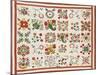 Pieced, Appliqued and Trapunto Cotton Quilted Coverlet Made for Mary Wilkins, Baltimore, Dated 1846-null-Mounted Giclee Print