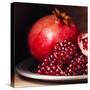 Pieces and Seeds of Ripe Pomegranate-Lisovskaya Natalia-Stretched Canvas