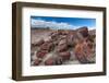 Pieces of Petrified Trees - Wood, Petrified Forest National Park, Arizona, USA, February 2015-Juan Carlos Munoz-Framed Photographic Print