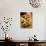 Pieces of Pizza with Different Toppings, on Wooden Background-null-Photographic Print displayed on a wall