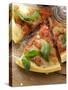 Pieces of Pizza with Tomatoes, Cheese and Basil-Foodcollection-Stretched Canvas