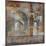 Pieces Of Tuscany IV-Douglas-Mounted Giclee Print