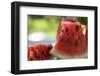 Pieces of Watermelon-Foodcollection-Framed Photographic Print