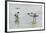 Pied Avocet 3 Adult Birds and 1 Chick-null-Framed Photographic Print