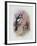 Pied Woodpecker-Archibald Thorburn-Framed Giclee Print