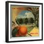 Piedmont Brand - California - Citrus Crate Label-Lantern Press-Framed Art Print