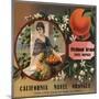 Piedmont Brand - Pomona, California - Citrus Crate Label-Lantern Press-Mounted Art Print