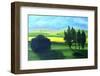 Piedmont I-Herb Dickinson-Framed Photographic Print