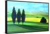 Piedmont II-Herb Dickinson-Framed Stretched Canvas