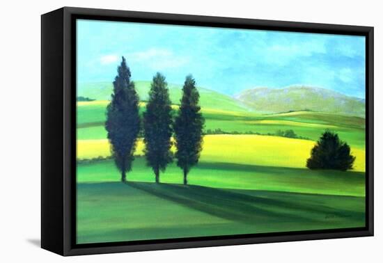 Piedmont II-Herb Dickinson-Framed Stretched Canvas