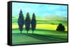 Piedmont II-Herb Dickinson-Framed Stretched Canvas