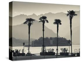 Piedmont, Lake Maggiore, Borromean Islands, Stresa, Lakefront Palms with Isola Bella, Italy-Walter Bibikow-Stretched Canvas