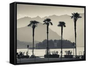 Piedmont, Lake Maggiore, Borromean Islands, Stresa, Lakefront Palms with Isola Bella, Italy-Walter Bibikow-Framed Stretched Canvas