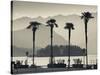 Piedmont, Lake Maggiore, Borromean Islands, Stresa, Lakefront Palms with Isola Bella, Italy-Walter Bibikow-Stretched Canvas