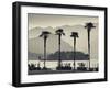 Piedmont, Lake Maggiore, Borromean Islands, Stresa, Lakefront Palms with Isola Bella, Italy-Walter Bibikow-Framed Photographic Print