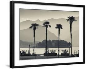 Piedmont, Lake Maggiore, Borromean Islands, Stresa, Lakefront Palms with Isola Bella, Italy-Walter Bibikow-Framed Photographic Print