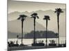 Piedmont, Lake Maggiore, Borromean Islands, Stresa, Lakefront Palms with Isola Bella, Italy-Walter Bibikow-Mounted Photographic Print