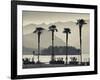 Piedmont, Lake Maggiore, Borromean Islands, Stresa, Lakefront Palms with Isola Bella, Italy-Walter Bibikow-Framed Photographic Print