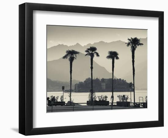 Piedmont, Lake Maggiore, Borromean Islands, Stresa, Lakefront Palms with Isola Bella, Italy-Walter Bibikow-Framed Photographic Print