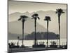 Piedmont, Lake Maggiore, Borromean Islands, Stresa, Lakefront Palms with Isola Bella, Italy-Walter Bibikow-Mounted Photographic Print
