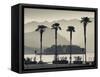 Piedmont, Lake Maggiore, Borromean Islands, Stresa, Lakefront Palms with Isola Bella, Italy-Walter Bibikow-Framed Stretched Canvas