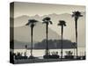 Piedmont, Lake Maggiore, Borromean Islands, Stresa, Lakefront Palms with Isola Bella, Italy-Walter Bibikow-Stretched Canvas