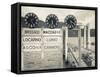 Piedmont, Lake Maggiore, Cannobio, Lake Ferry Timetable, Italy-Walter Bibikow-Framed Stretched Canvas