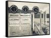 Piedmont, Lake Maggiore, Cannobio, Lake Ferry Timetable, Italy-Walter Bibikow-Framed Stretched Canvas