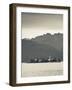 Piedmont, Lake Maggiore, Stresa, Borromean Islands, Isola Superiore O Dei Pescatori, Italy-Walter Bibikow-Framed Photographic Print