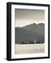 Piedmont, Lake Maggiore, Stresa, Borromean Islands, Isola Superiore O Dei Pescatori, Italy-Walter Bibikow-Framed Photographic Print