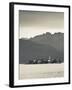 Piedmont, Lake Maggiore, Stresa, Borromean Islands, Isola Superiore O Dei Pescatori, Italy-Walter Bibikow-Framed Photographic Print