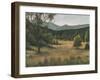 Piedmont Meadow I-Michael Willett-Framed Art Print